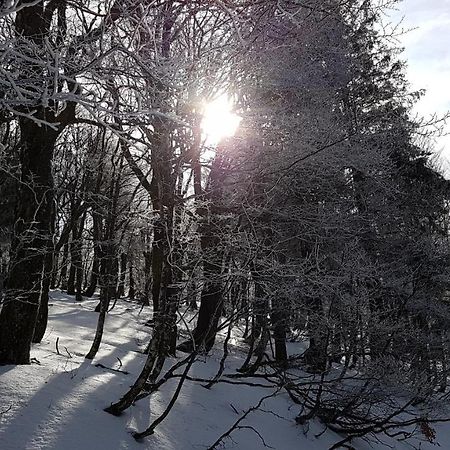 L'Ideal Gérardmer Dış mekan fotoğraf