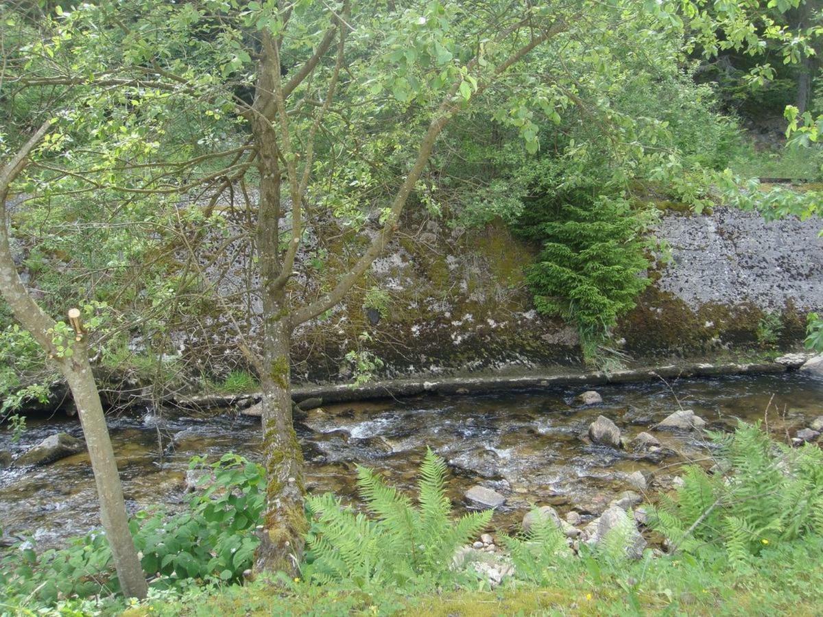 L'Ideal Gérardmer Dış mekan fotoğraf